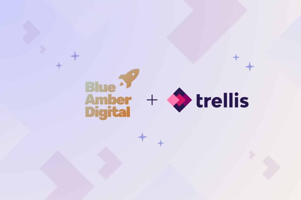 Case Study - Blue Amber Digital