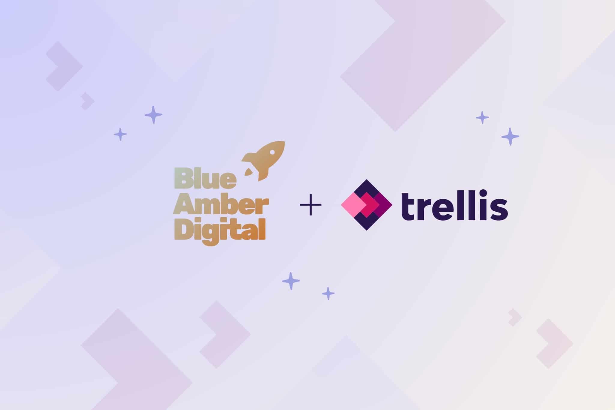 Case Study - Blue Amber Digital